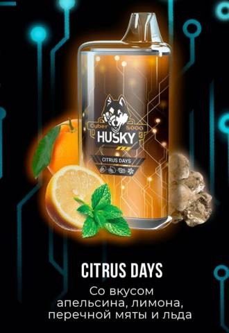Одноразовая ЭС Husky Cyber 8000 — Citrus Days (Апельсин, Лимон, Перечная Мята и Лед)